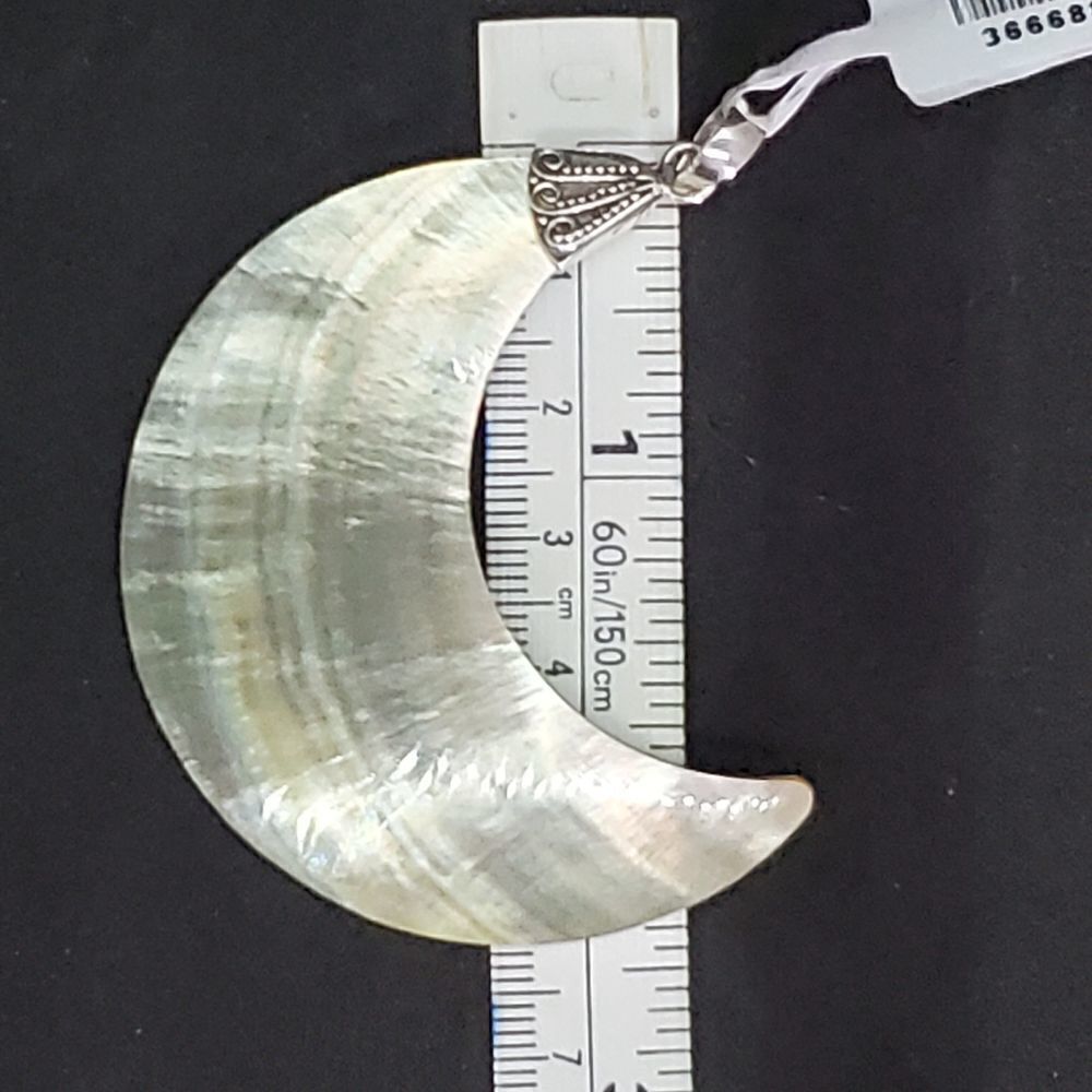 Shell Pendant‎ - Picture 13 of 15
